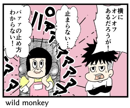 �摜�񋟁F���C���h�����L�[����