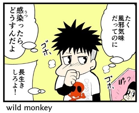 �摜�񋟁F���C���h�����L�[����