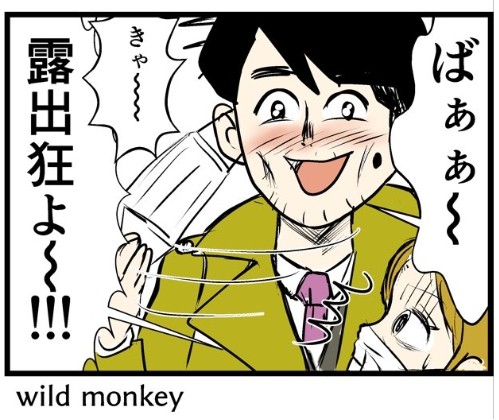 �摜�񋟁F���C���h�����L�[����