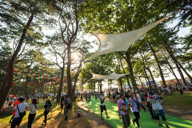 uROCK IN JAPAN FESTIVAL 2019v^ʐ^FbLOEI