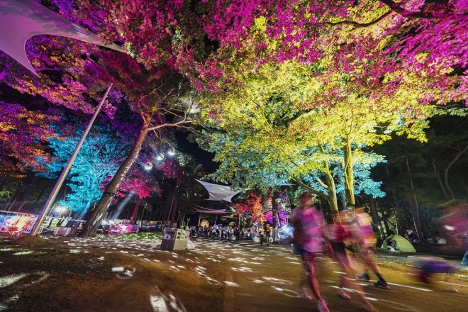 uROCK IN JAPAN FESTIVAL 2019v^ʐ^FbLOEI