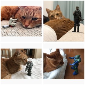 ���f���\�E���ނ玁�J�݁u�˂��ƃv�����f���v���