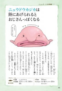 タレントグッズ 送料無料 選べる4個セット ざんねんないきもの事典 舞台写真 ブロマイド 生写真 フォト Rkdnajp8ks Mentalsteps Pl