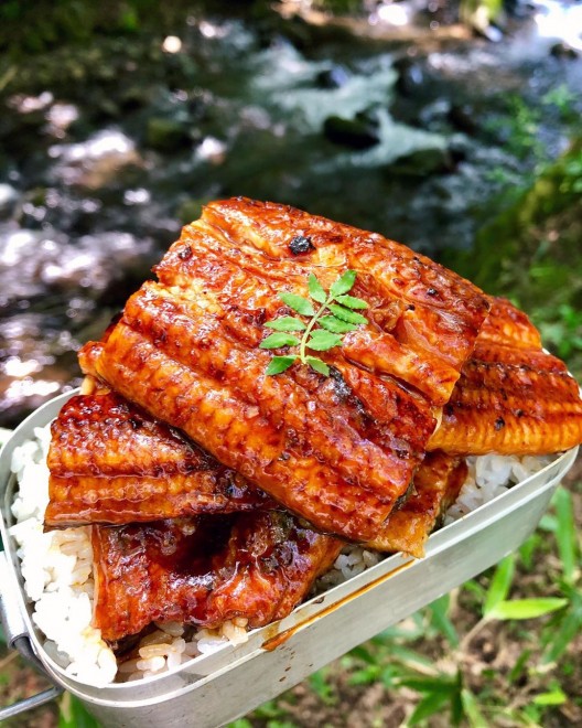 �R���肤�ȃh�[�[�[�[�[��(��)