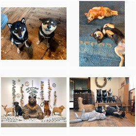 �����Ƃ͂����Ƃ݂�����t�H�g�M�������[