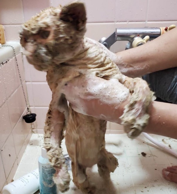 i􂢗A̖т􂤁Bs҂̍ߐ[炽߂Ċ