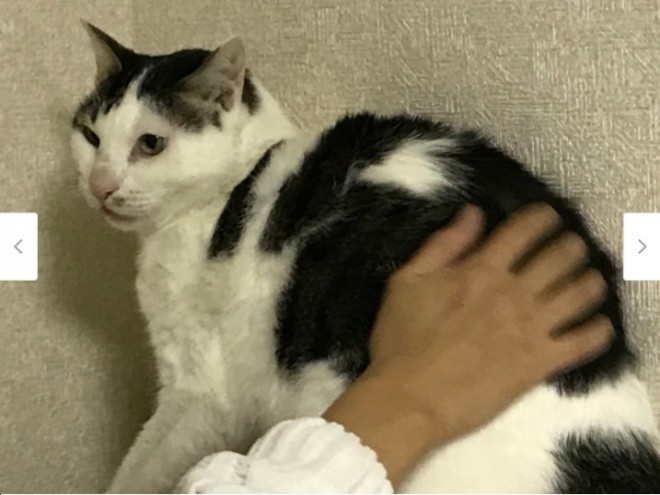 lԂɐSJAG点Ă悤ɂȂ