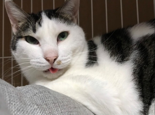 ȂȂ̂ȂYɂAɗDƑ̈ɂȂI