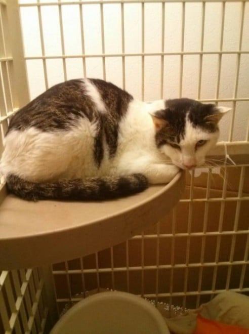 s҂󂯁AlԂx悤ɂȂĂ܂Y