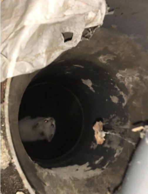 ͕̂ǂ̉Bɂ͐lԂꂸAqL̖