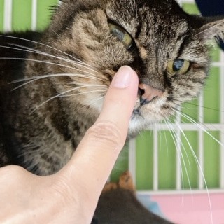 NƂ邾ALĘV̂͐lԂƓ