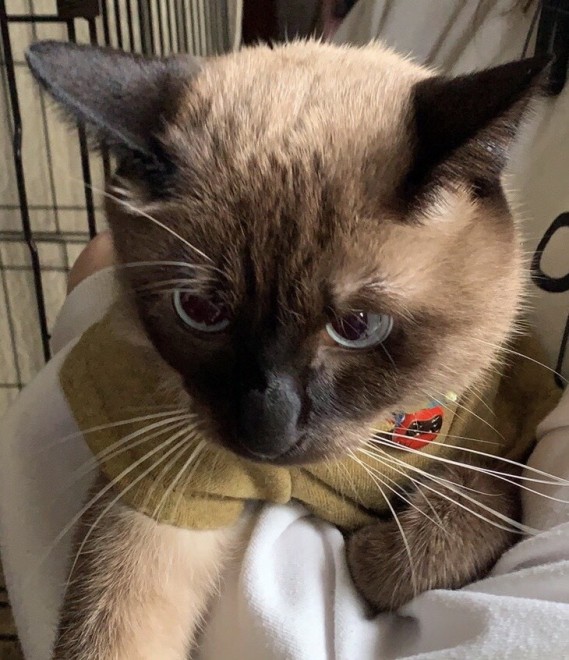 w˂xɂĂ^kL̔LBォ猩Ă^kLۂc