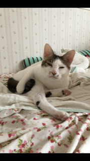 Ƃɂ́AQċNNȂĕs@ɂȂc