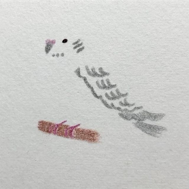 �摜�񋟁F���������₦����