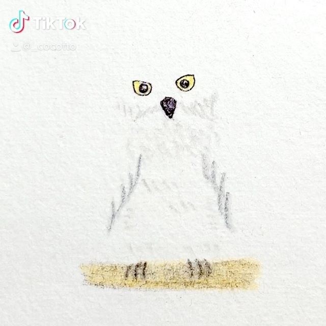 �摜�񋟁F���������₦����