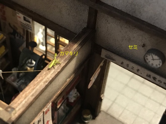 �y�S���͌^�ɏd�ʊ������߂Ď��R�����g�z��[�̂Ȃ����́A�Ԍ˂Ɖᒠ�͉Ă̕K���i�ł����B �����J���ĐQ��̂ŁA�J�}�L����J�u�g���V���A�Ē����Ƃ̒��ɓ����т܂����B���́A�����G��Ȃ��q�������܂��i���̑��q�j�B�֗��ɂȂ�߂��Ď��R����������̂��l�����̂ł��ˁB