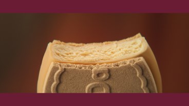 ���������o������n�[�Q���_�b�c��CM