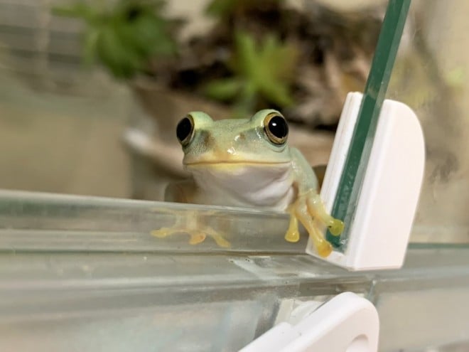 ����͂�ł���ˣ