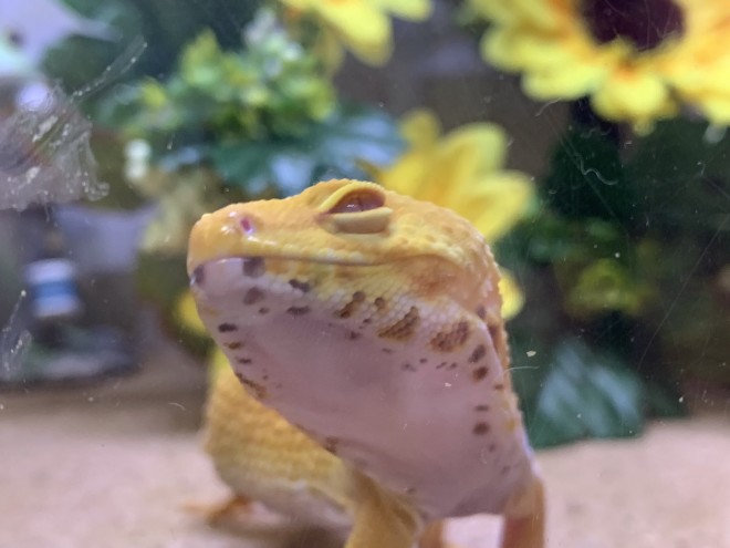 �u���������Ă���̒��B�v