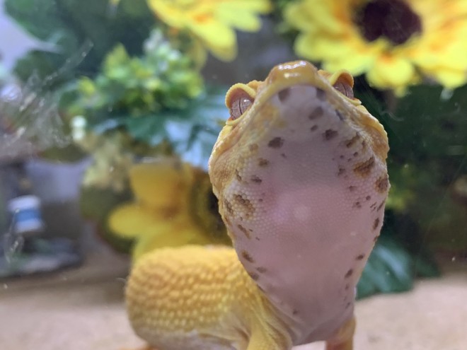 �u���������Ă���̒��B�v