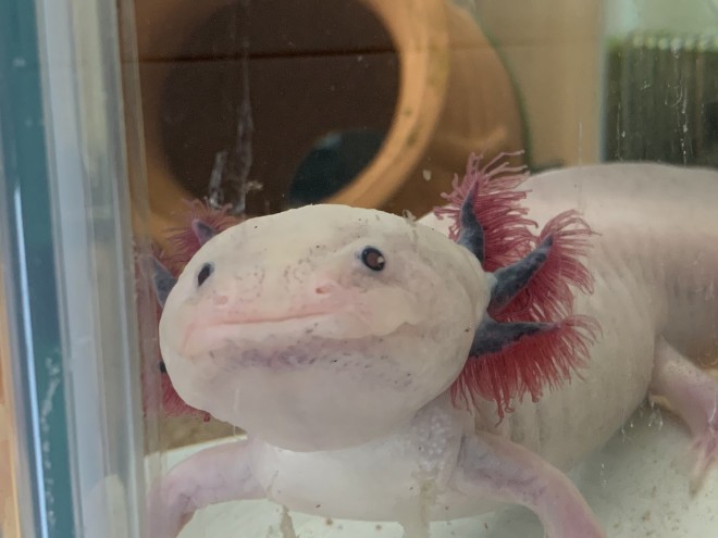 �u���@���E�p�q�v