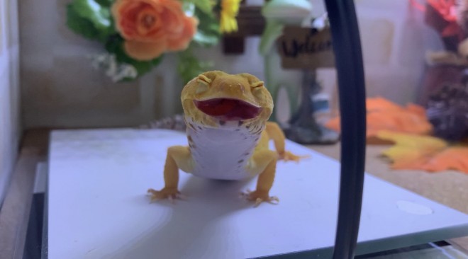 �u�K�����Ċ�ɂ����Ă���B�v