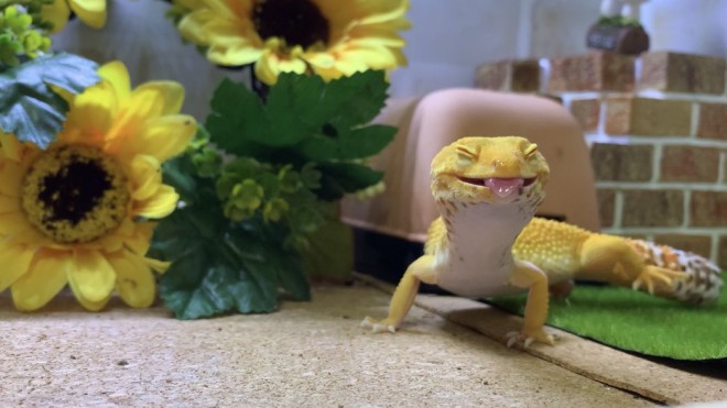 �u�����͂��Ԃ�x���Ă�B�v