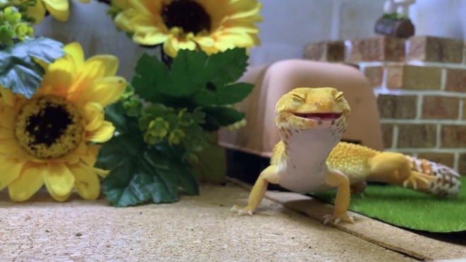 �u�����͂��Ԃ�x���Ă�B�v