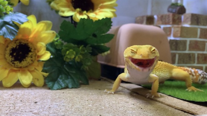 �u�����͂��Ԃ�x���Ă�B�v