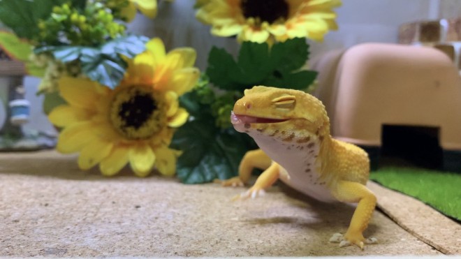 �u�����͂��Ԃ�x���Ă�B�v