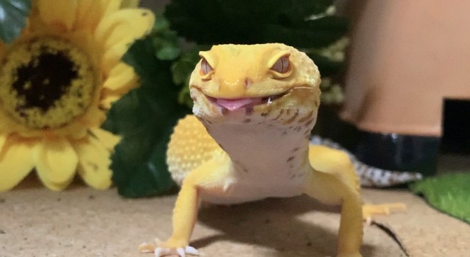 �u���������є��������������`�I�v