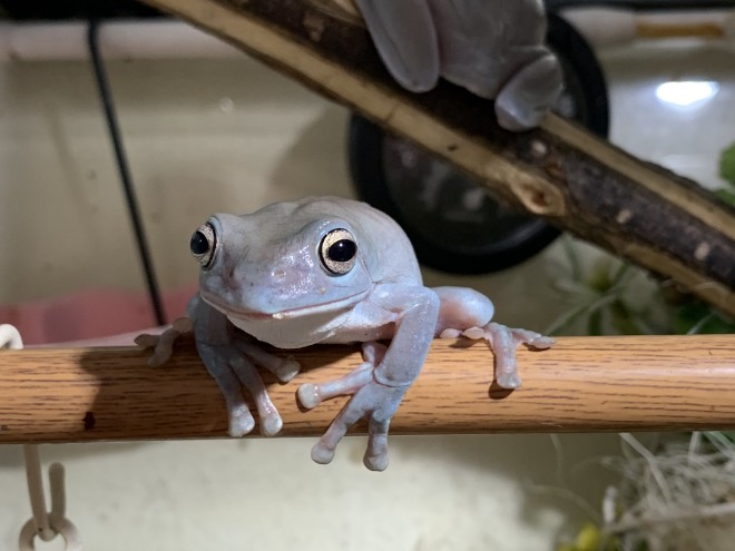 �u�������Y��ȐF�@�[�Ԃ������̂��̐F���D���v