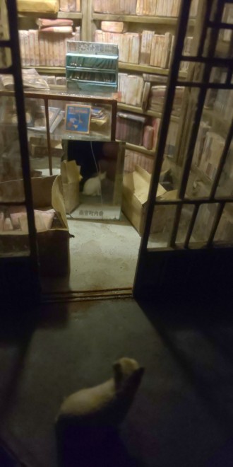 �u���̌������Ɂv