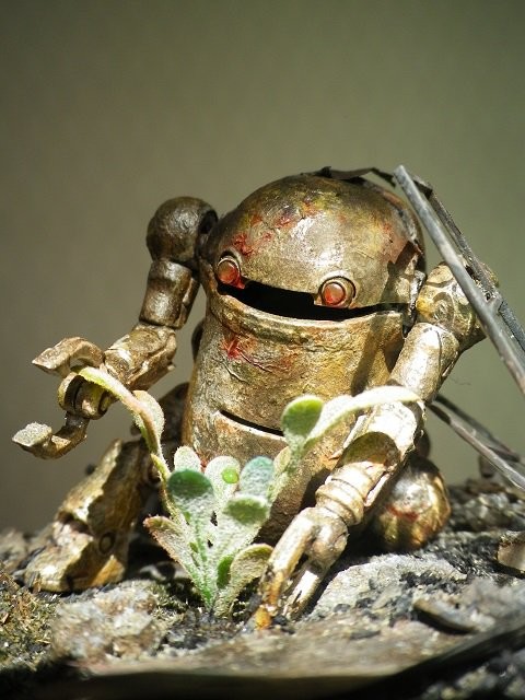 �ЂȂ����ߋ���