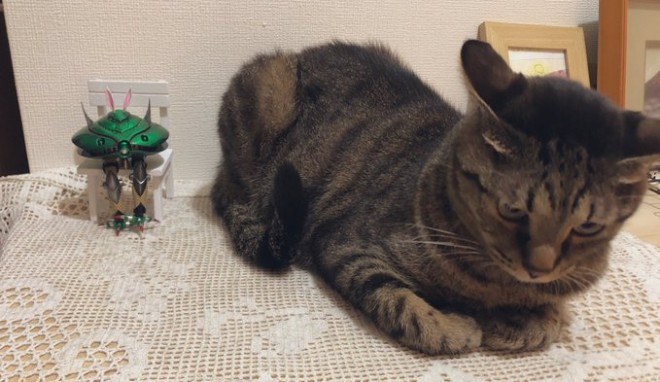 ����E�摜�񋟁^�Ȃ݂����@�iC�j�n�ʁE�T�����C�Y