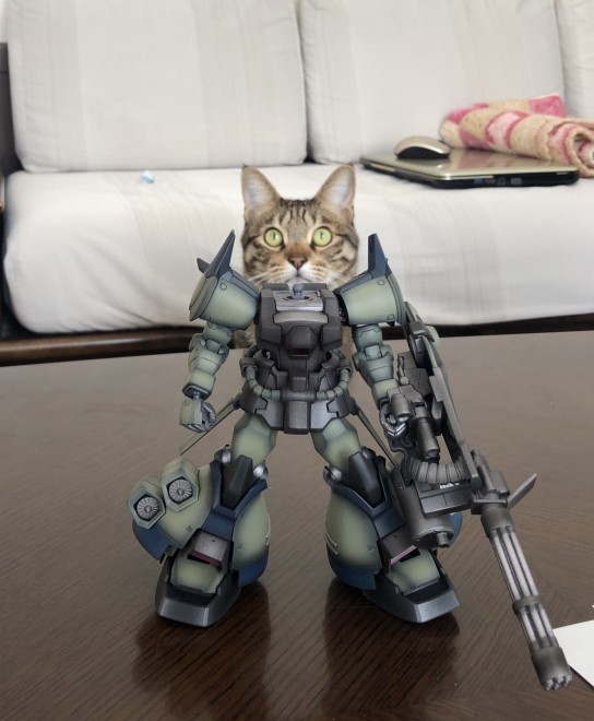 ����E�摜�񋟁^�Ȃ݂����@�iC�j�n�ʁE�T�����C�Y