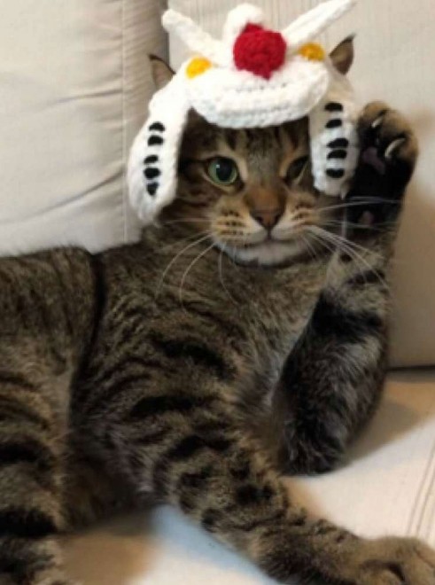 ����E�摜�񋟁^�Ȃ݂����@�iC�j�n�ʁE�T�����C�Y