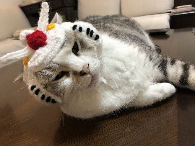 ����E�摜�񋟁^�Ȃ݂����@�iC�j�n�ʁE�T�����C�Y