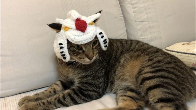 ����E�摜�񋟁^�Ȃ݂����@�iC�j�n�ʁE�T�����C�Y