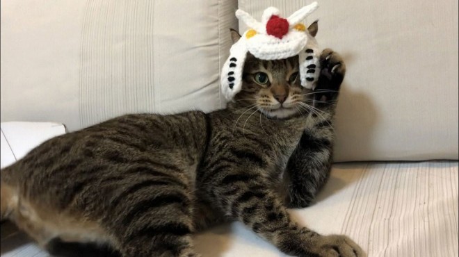 ����E�摜�񋟁^�Ȃ݂����@�iC�j�n�ʁE�T�����C�Y