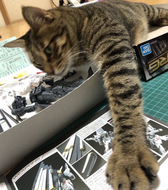 ����E�摜�񋟁^�Ȃ݂����@�iC�j�n�ʁE�T�����C�Y