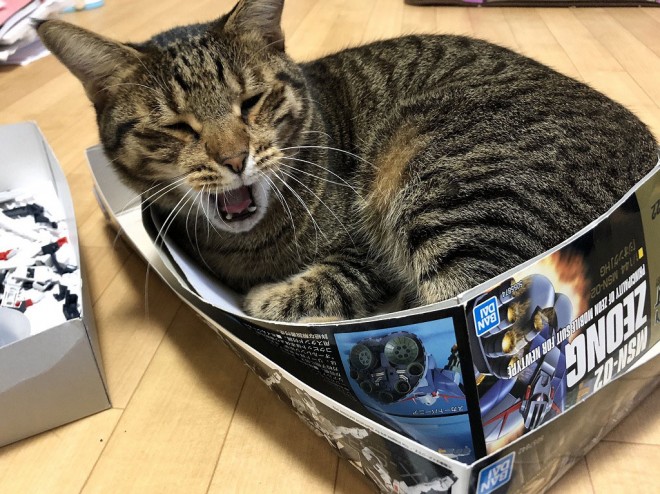 ����E�摜�񋟁^�Ȃ݂����@�iC�j�n�ʁE�T�����C�Y