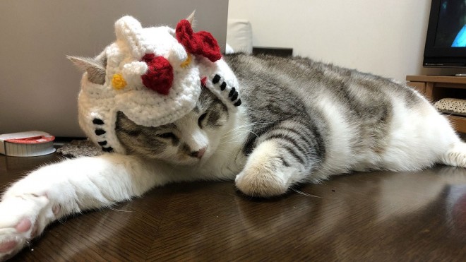 ����E�摜�񋟁^�Ȃ݂����@�iC�j�n�ʁE�T�����C�Y