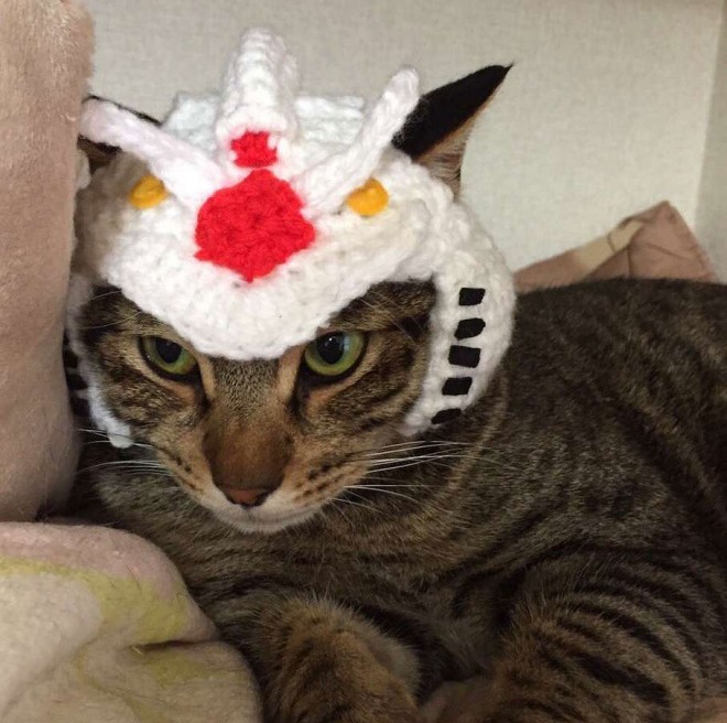 ����E�摜�񋟁^�Ȃ݂����@�iC�j�n�ʁE�T�����C�Y