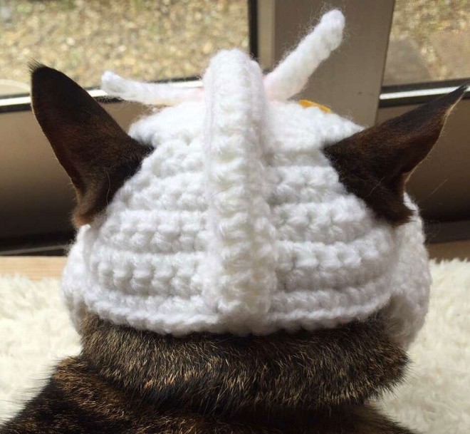 ����E�摜�񋟁^�Ȃ݂����@�iC�j�n�ʁE�T�����C�Y