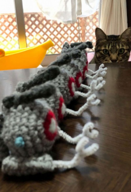 ����E�摜�񋟁^�Ȃ݂����@�iC�j�n�ʁE�T�����C�Y