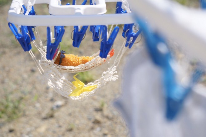 �u�������������Ȃ��̂ŐS�z���܂������A���󕨂̂����Œ��Q�����Ă��܂����B�v