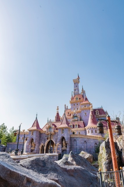 �ʐ^�f�������Q�ȁu�����Ɩ�b�̏�v