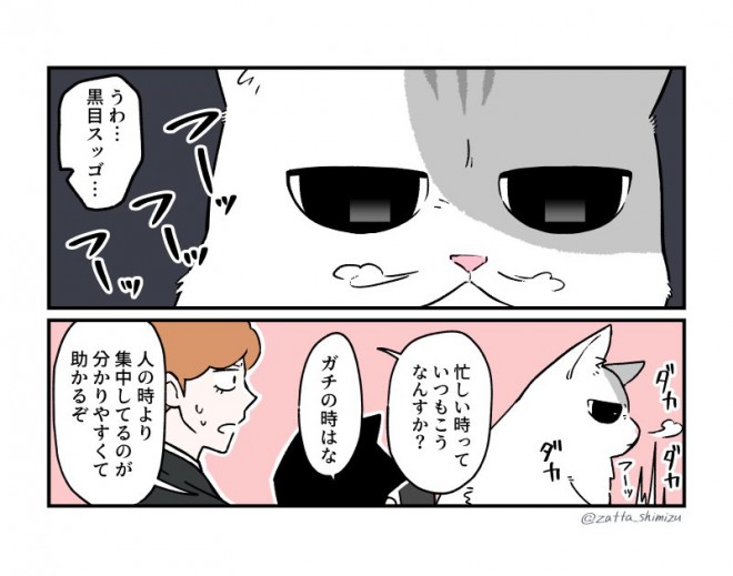画像 写真 漫画 ブラック企業の社員が猫になって人生が変わった話 やイラスト 猫の1週間 ほか 清水めりぃ氏作品 25枚目 Oricon News
