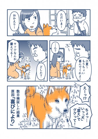 画像まとめ 漫画 柴犬 小夏 私が思っていた柴犬となんか違う Oricon News